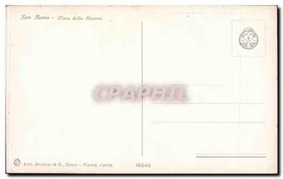 Jardim em San Remo — Editor Brunner & C., Como — N° 16540 — Verso