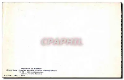 Akwarium w Monako — Coralliaires — A.D.I.A., IMP. NICE — Rewers