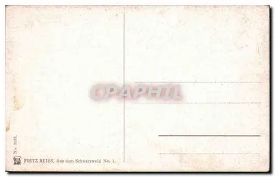 Widok Schwarzwald — czerwony dom drewniany — wydawca FRITZ REISS, nr 1 — Rewers