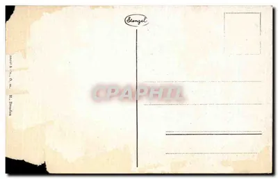 보른 a. 라인 - 뮌스터플라츠 — 전경 — 출판사 Stöngel & Co., 드레스덴 — 뒷면