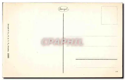 Cannstatt - Wilhelma — parque decorado com fontes e palmeiras — Stengel & Co., Bréda — Verso