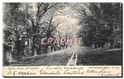 Clifton Grove, Nottingham — vista de uma avenida sombreada — The Woodbury Series, No. 394