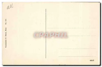 Godesberg — widok z ruiny — Kunstanstalt N. Dienst, Bonn, nr 215 — Rewers