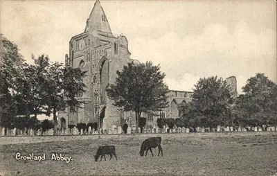 Abadia de Crowland — ruínas góticas com vacas — Publicado por W. H. Penney, Peterborough