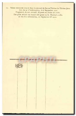 Palma de Santa Térèsa da Criança Jesus — 1910 — Editor anônimo, n°12 — Verso
