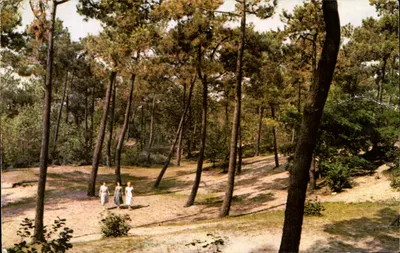 Passeio na floresta — Centro Mundial do Linho — Edições KNOCKE