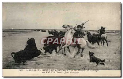 Os Touros da Camargue — Museu de Longchamp — por VAYSON (Paul) — Escola Francesa