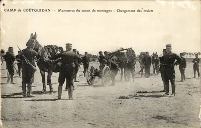 Campo de Coëtquidan — Manobra do canhão de montanha — Carregamento dos mules — edição Coëtquidan