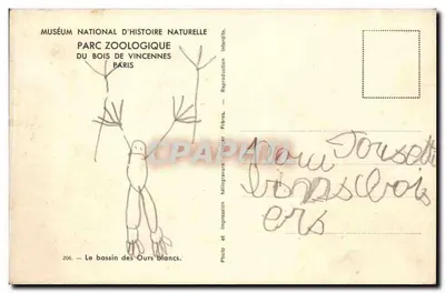 O basso dos Ursos brancos — Museu Nacional de História Natural, Parque Zoológico do Bois de Vincennes, Paris — n° 206 — Verso