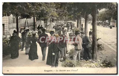 Angers — O Mercado das Flores — F. Duvivier, editor, Angers