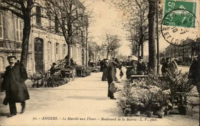 Angers - O Mercado das Flores - Boulevard de la Mairie - L. V., fotografia