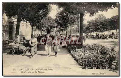 Angers - O Mercado de Flores - Boulevard da Prefeitura - Edição Larouët