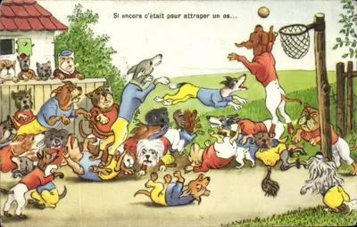 Cães em traje esportivo — jogo de basquete — editor Paris