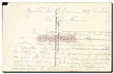 Dwa zakochani w liściach winorośli — Wesołych Świąt — Dix 667/3 — Rewers