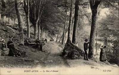 PONT-AVEN. — O Bois d'Amour — ND Pbot