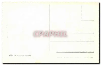 Napoli - Panorama — widok na Wulkan — Wyd. R. Renza, n° 169 — Rewers