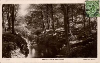 Persley Den, Aberdeen — vista de floresta e riacho — Série XL de Valentine n°61794