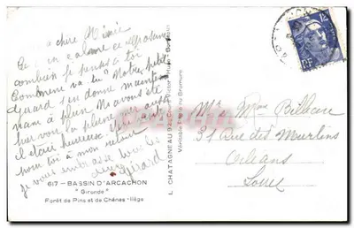 Las sosnowy i dębowy — Gironde — L. Chatagneau, wydawca — Rewers