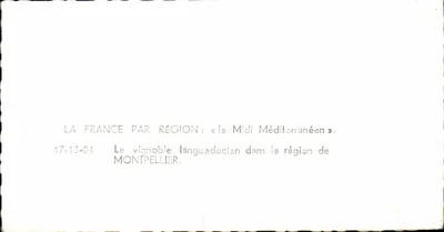 Winorośl languedocza — region Montpellier — wydawca APIE — Rewers
