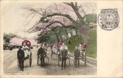 Cherry Blossom at Uyeno Park — scène de rickshaws sous cerisiers — éditeur non identifié