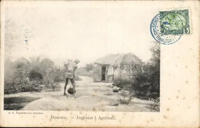 Djibuti — Jardineiro em Ambouli — P. B. Edição