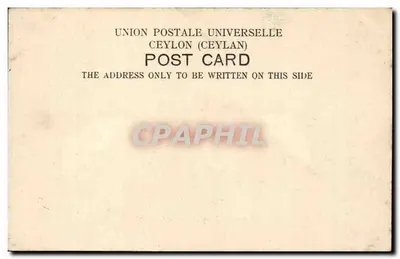 Elefantes de trabalho em Ceilão — União Postal Universal Ceilão — Verso