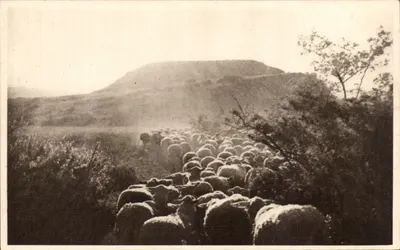 Retorno ao berceu — Roquefort — Cliché da Sociedade das Caves de Roquefort