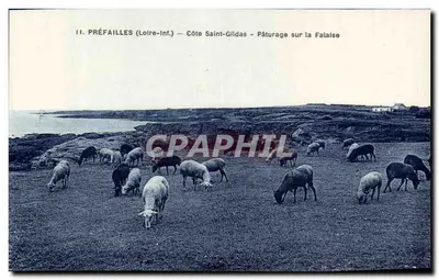 Préfailles (Loire-Inf.) — Ladeira de São Gildas — Piquete na Falésia