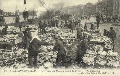 REPRODUÇÃO Boulogne sur mer Le triage du poisson avant la criée