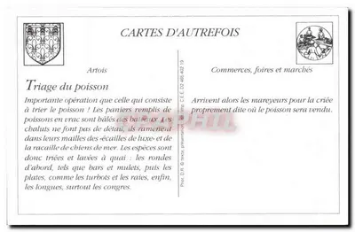 REPRODUÇÃO Boulogne sur mer Le triage du poisson avant la criée — Verso