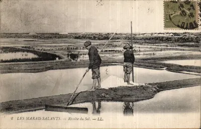 लेस मारे-सालांट्स — सेल के एकत्रण — LL.