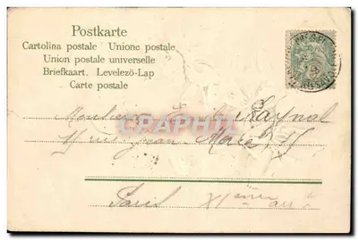 Flores de clematite — Boa festa — Carta postal universal — Verso