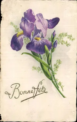 Íris violeta — Bom dia — cartão postal antigo