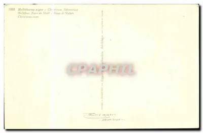 Hellebore czarny — Helleborus niger — wydawca Marcel Oyter, nr 1693 — Rewers