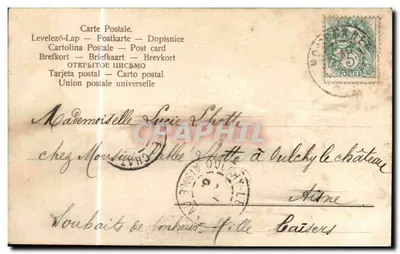 Bouquet de margaritas y flores azules — Feliz cumpleaños — Tarjeta postal universal — Reverso
