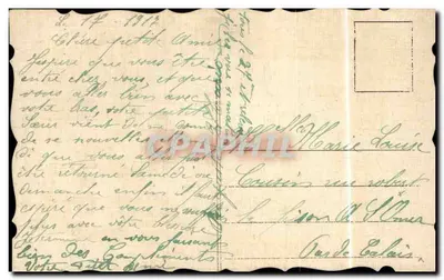 Flor rosa — paisagem com árvores e pássaros — bilhete postal antigo — Verso