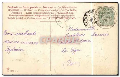 Arranjo de margaridas — Feliz Festa — editor PPF, série 3791 — Verso