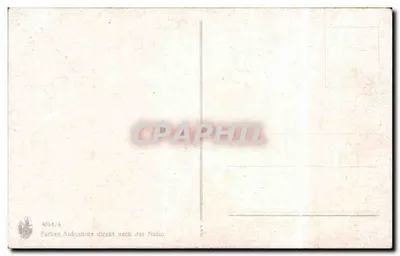 Arranjo de flores de ervilha — n° 4014/4 — Verso