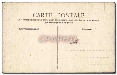 Fiore di papavero — Illustrazione — Verso