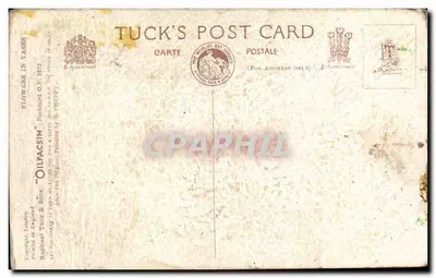 Kwiaty w słoiku — reprodukcja zgodnie z H. Cheffey — Tuck's Post Card n°3872 — Rewers
