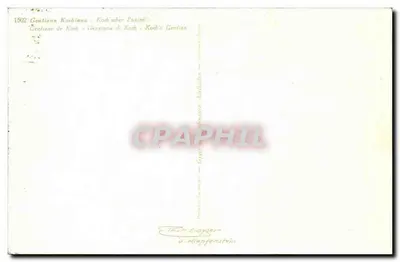 Flores - Flowers - lindas flores selvagens roxos - Bilhete postal antigo — Verso