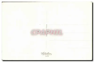 Flores e borboleta — ilustração botânica — S. Bonelli, Photocchrom 268 — Verso