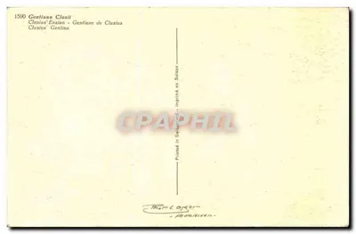 Gentiana de Clusius — Clusius' Enzian — Impresso na Suíça — Verso