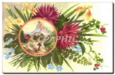 Flores e paisagem alpina — editor A&E C. Paris