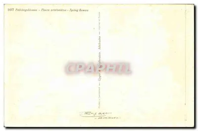 Fleurs printanières — Gyger & Adelboden — Suisse — Rewers