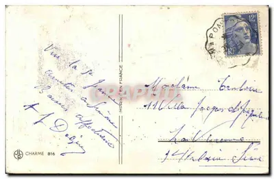 Fiori rosa — Buon compleanno — Charme 816 — Verso