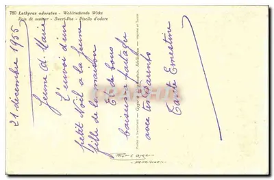 सुगंधित बीन के फूल — Lathyrus odoratus — स्विटजरलैंड में मुद्रित, संख्या 780 — पीछे