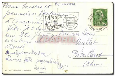 Glaïeuls — czerwony i żółty — wydawca Poheline d'Alsace, n° 993 — Rewers