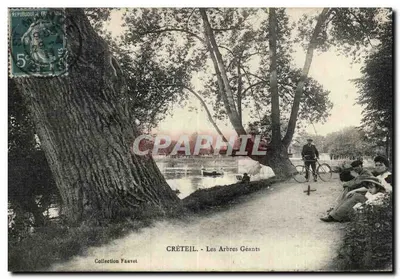 Créteil - Os Grandes Árvores — Coleção Faavet
