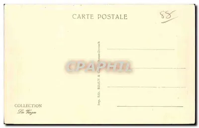 Vittel — Aleja Ambroise Bou loumié — wydawca Braun & Cie, Dornach — Rewers